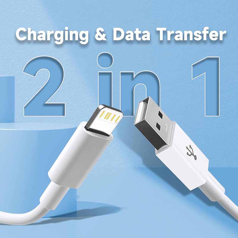 Câble USB A vers Lightning pou - Tech Accessories Apple avis et prix